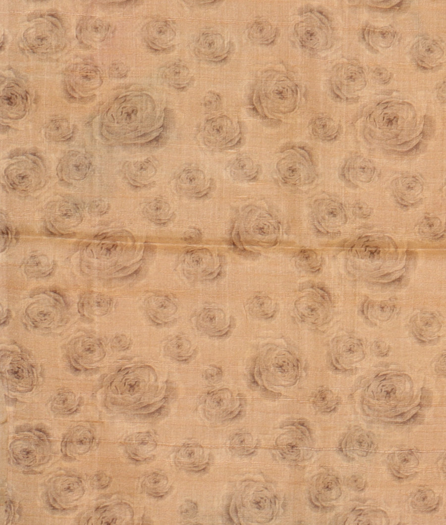 Beige Tussar Printed Saree T3013513