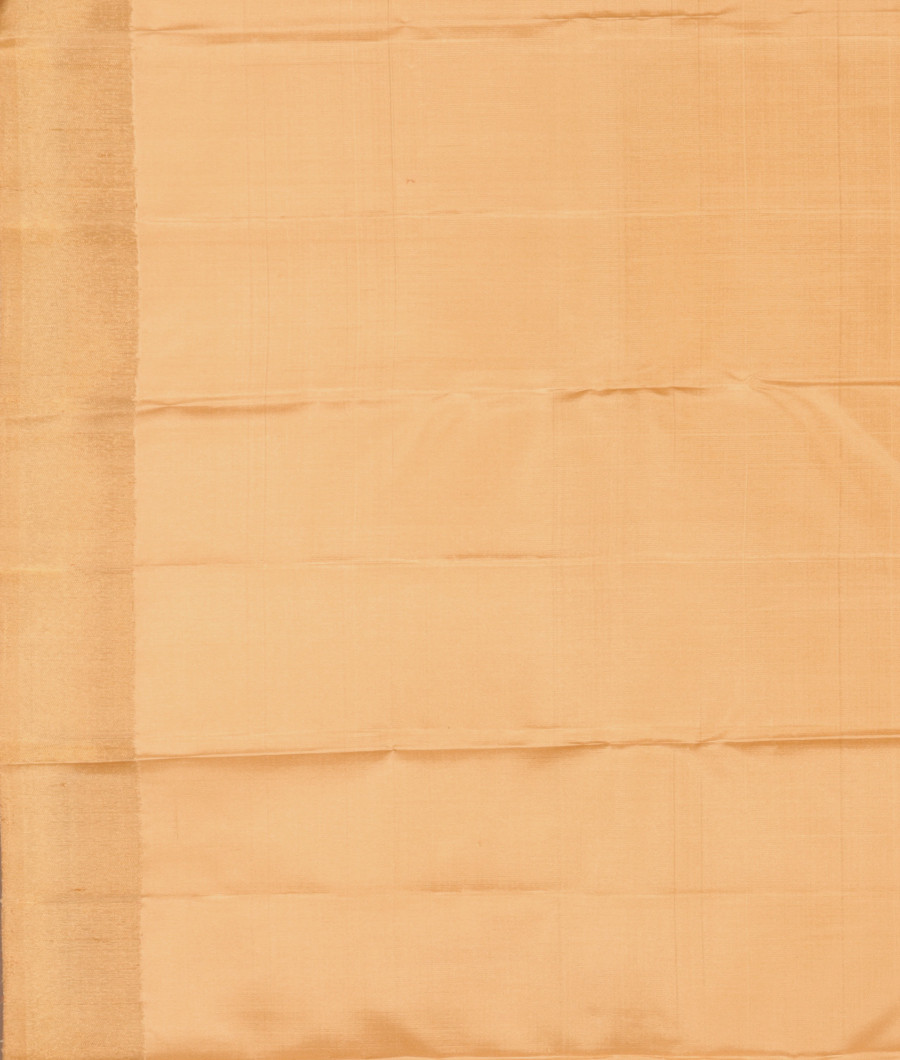 Beige Handwoven Kanjivaram Silk Saree T3084473