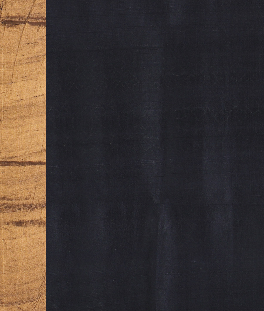 Blue Tussar Printed Saree T2981203