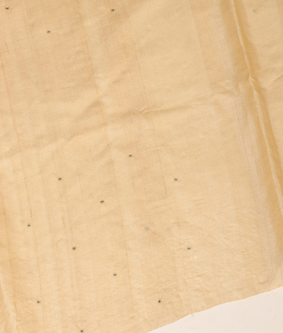 beige-tussar-cut-work-saree-t312579-t312579-c