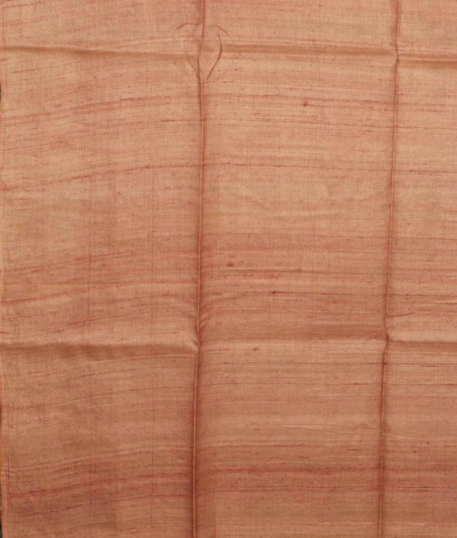 Blue Tussar Printed Saree T3143293