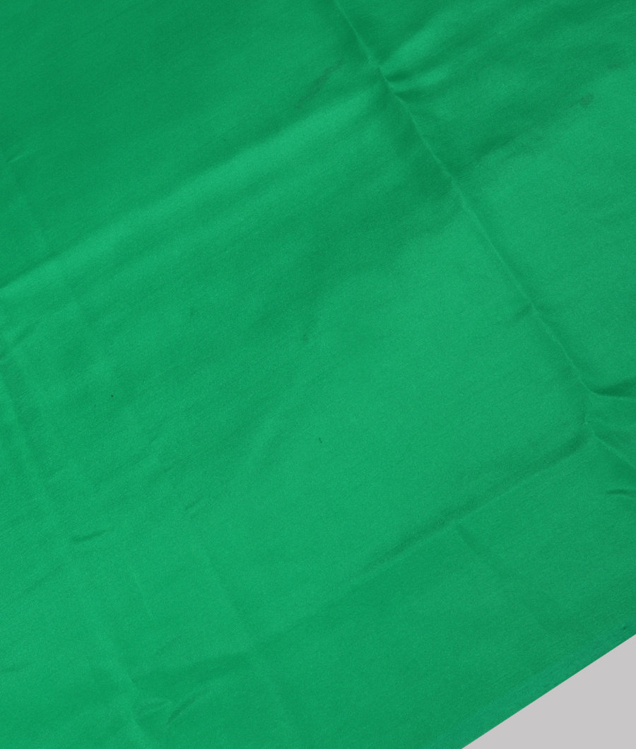 Green Mysore Silk Saree T3155893