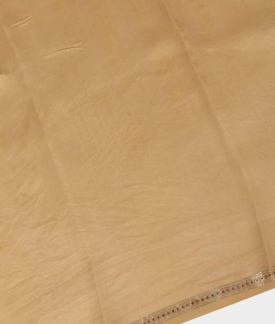 Beige Kora Organza Printed Saree T3126023