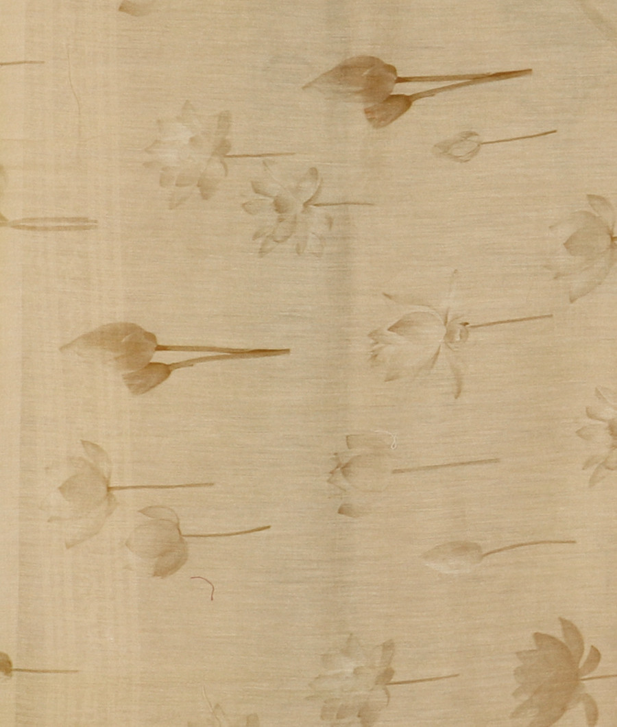 Yellowish Grey Kora Organza Embroidery Saree T3098053