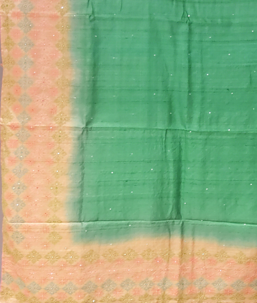 green-tussar-embroidery-saree-t317821-t317821-d