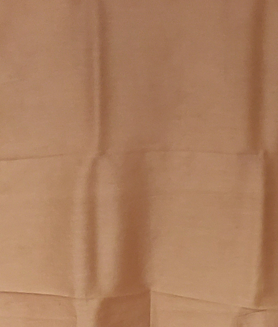 Cream Kora Organza Printed Saree T2913993