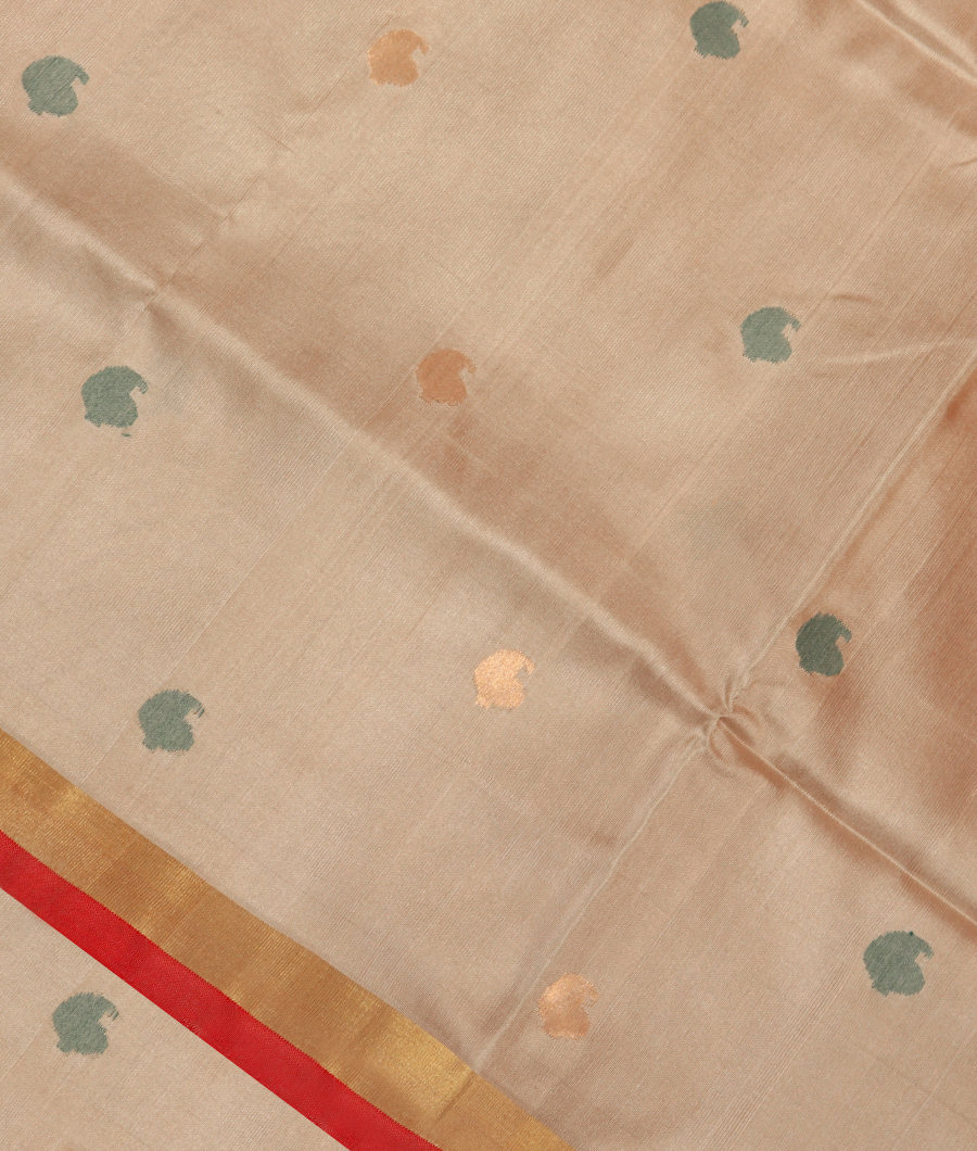 Beige Uppada Silk Saree T296303-image