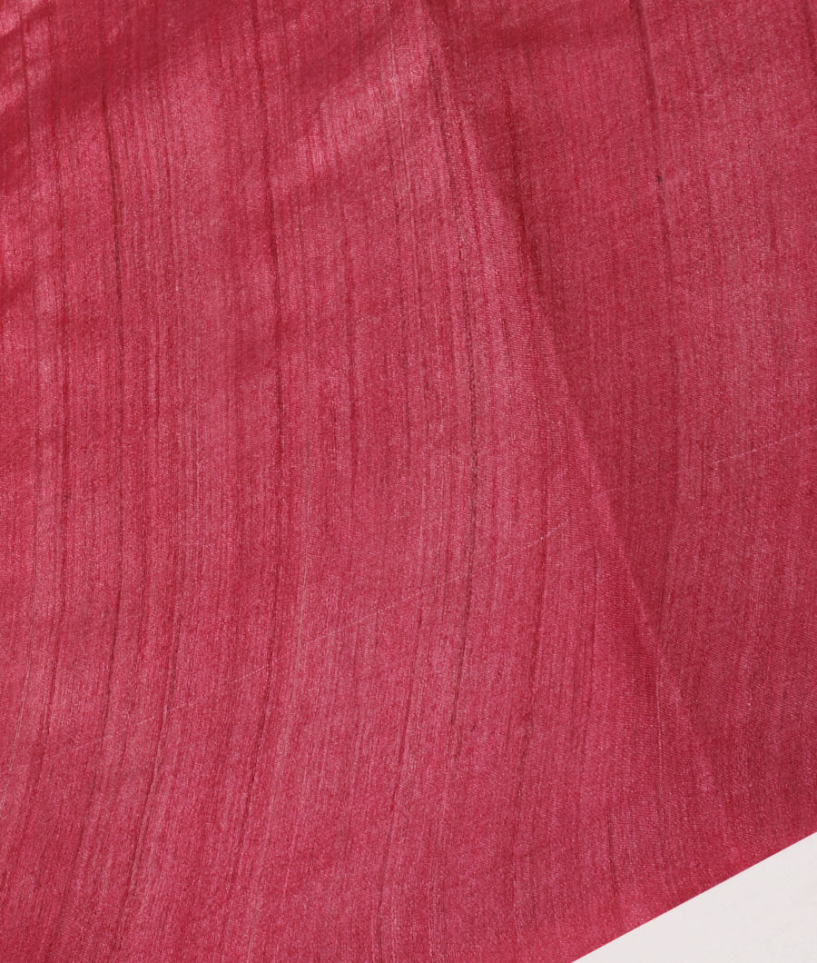 Dark Beige Tussar Printed Saree T3211223