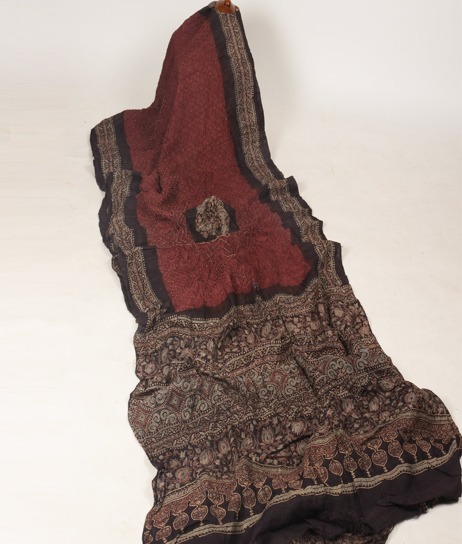Brown Bandhani Tussar Saree T322773-image