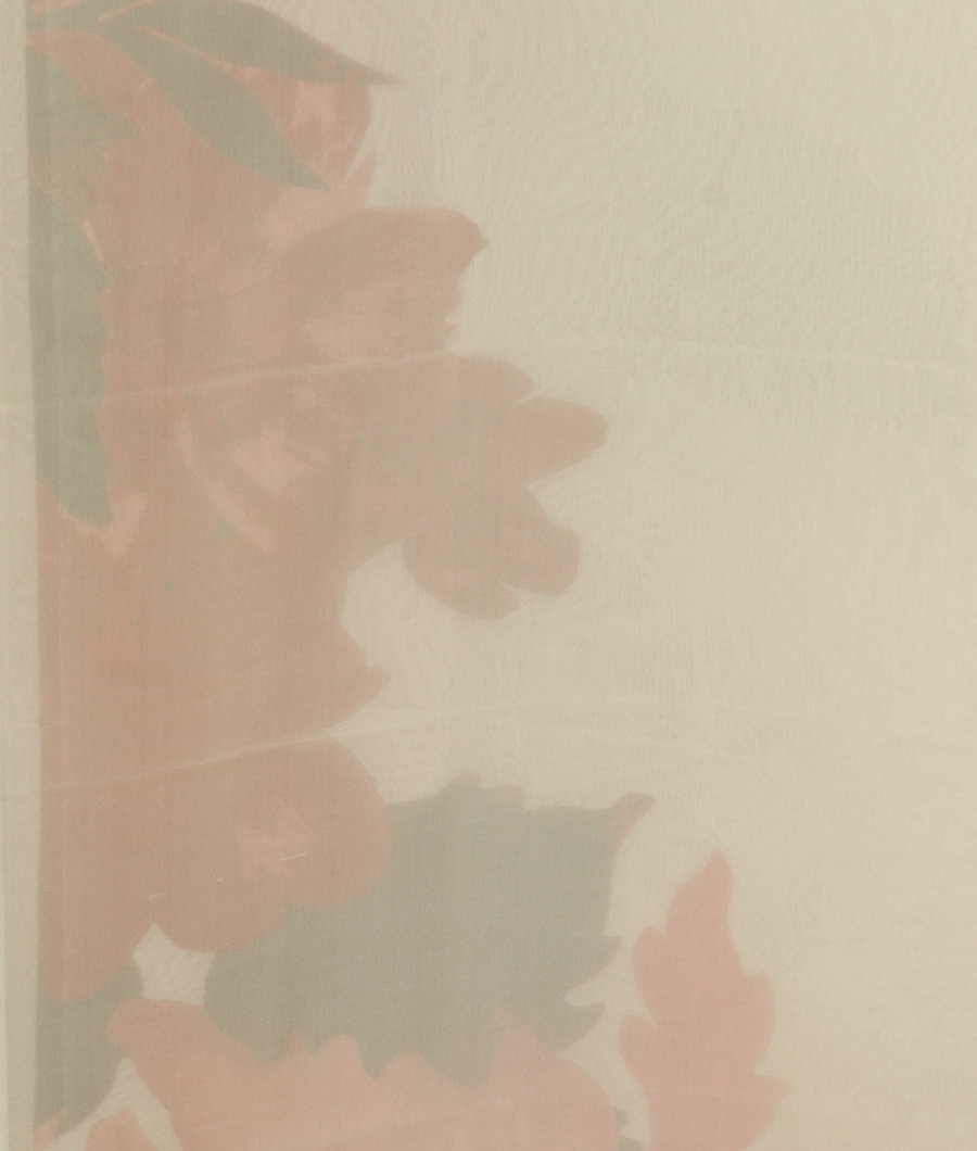 Off - White Georgette Silk Saree T3248763