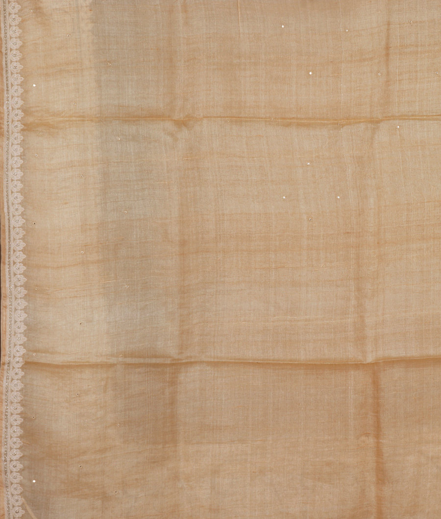beige-tussar-embroidery-saree-t299056-t299056-c