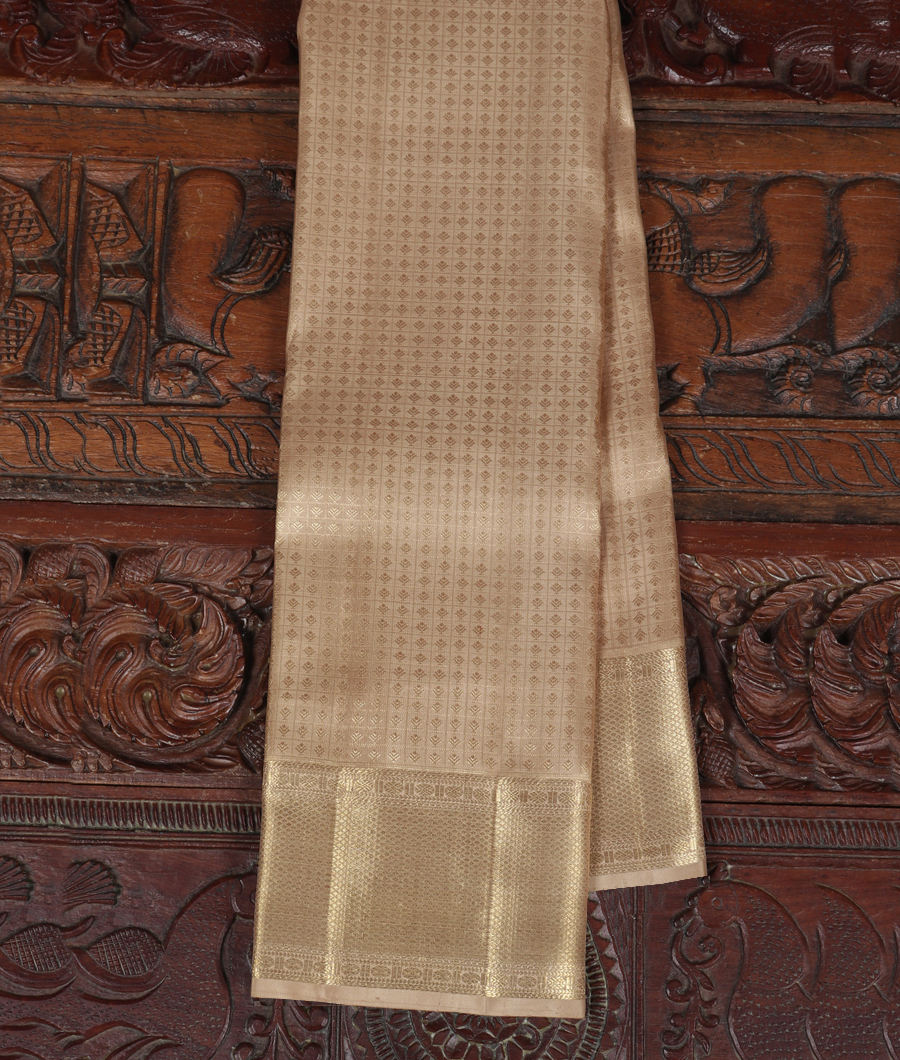 Grey Handwoven Kanjivaram Silk Saree T314689-image