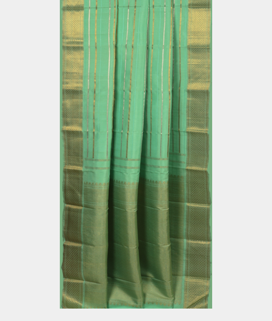 Green Handwoven Kanjivaram Silk Saree T1813142