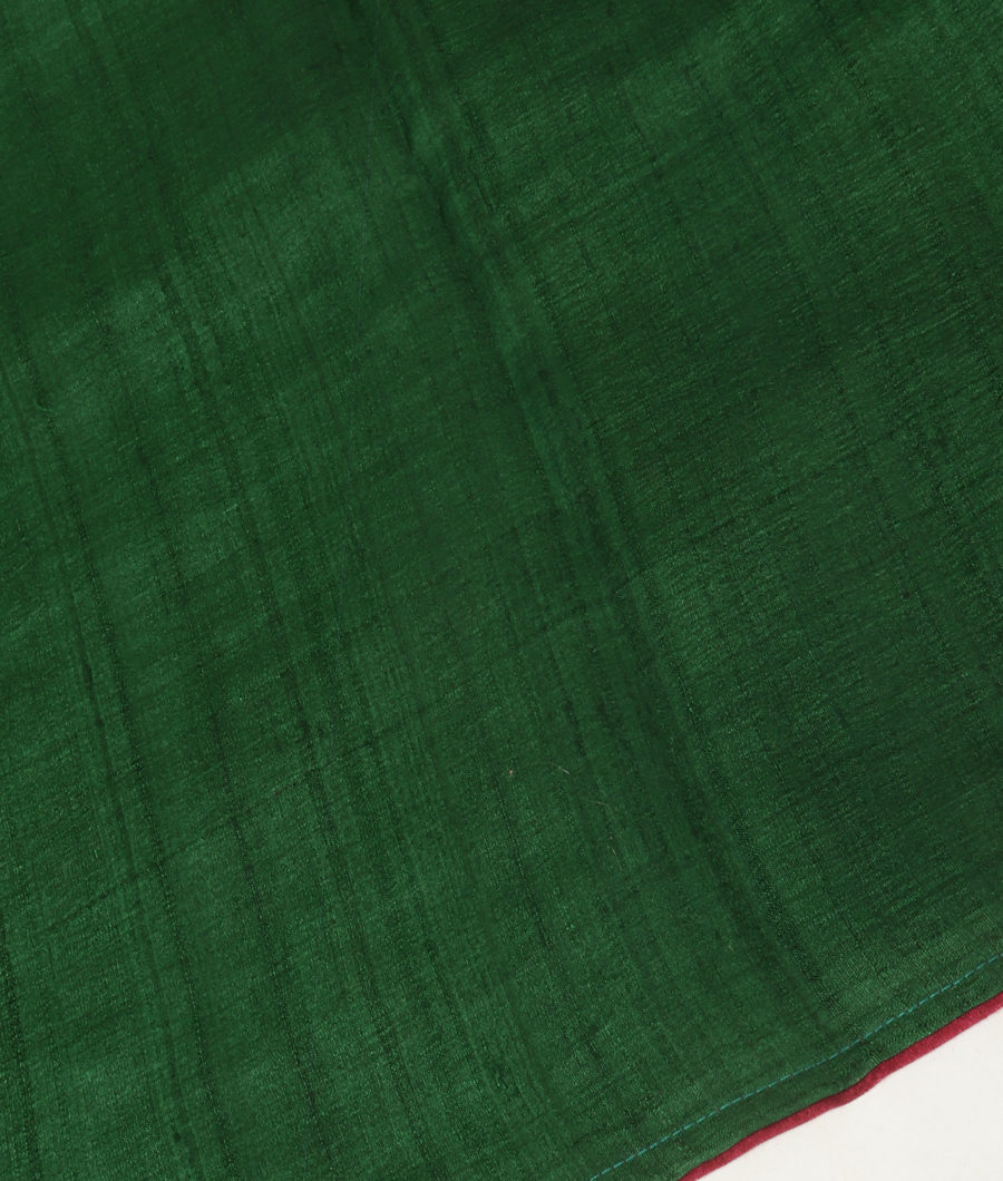 green-tussar-embroidery-saree-t324609-t324609-c