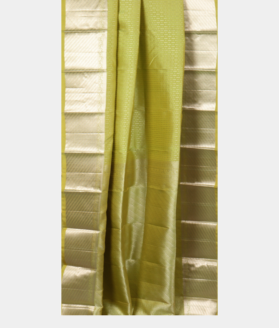 Green Handwoven Kanjivaram Silk Saree T2620312