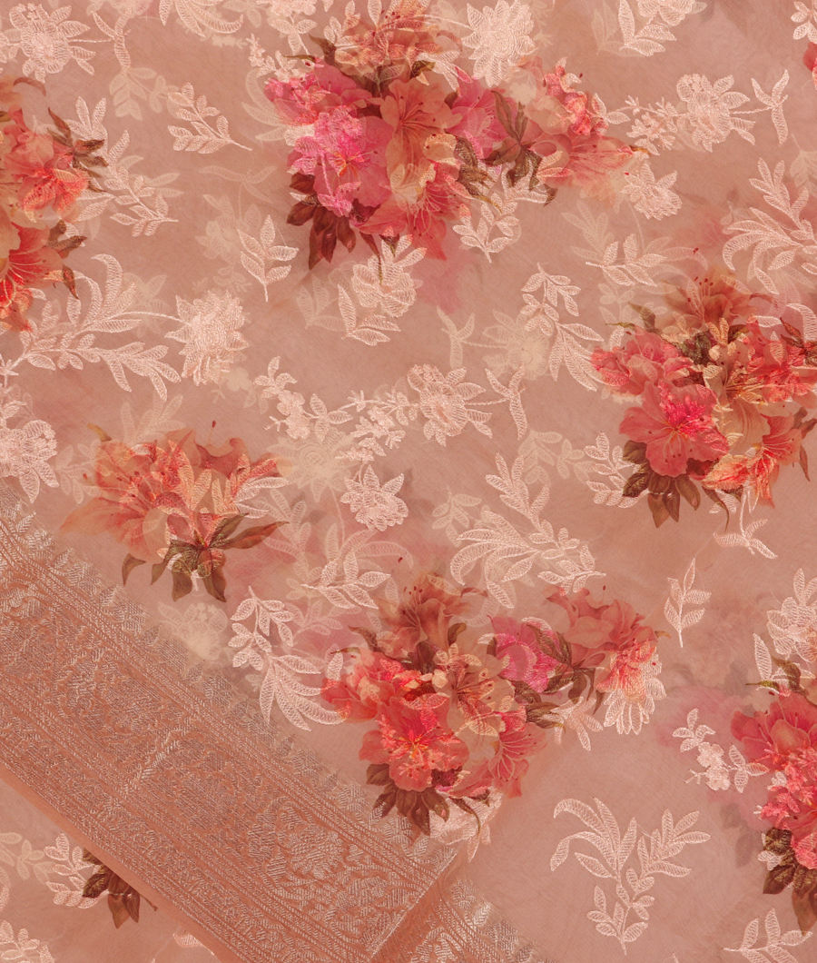 Light Peach Kora Organza Embroidery Saree T265939-image