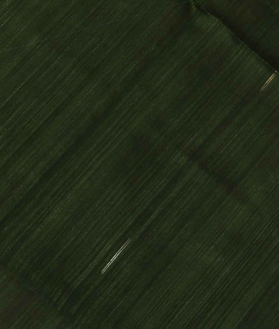 Green Handwoven Tussar Saree T319471-image