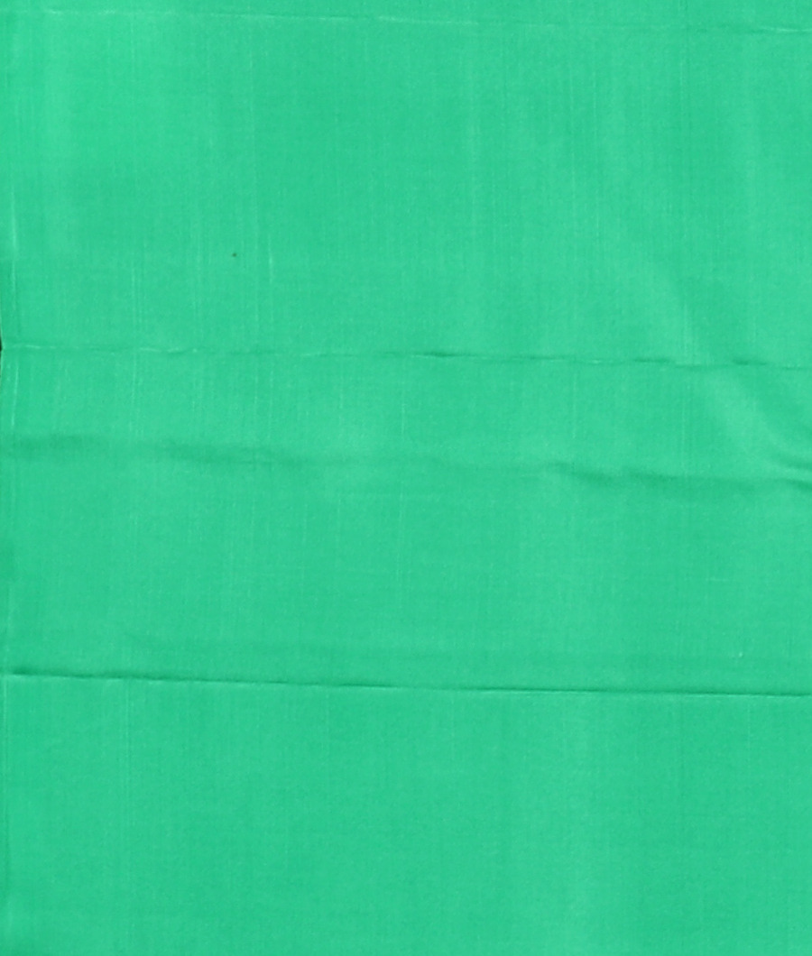 Green Handwoven Kanjivaram Silk Saree T3251843
