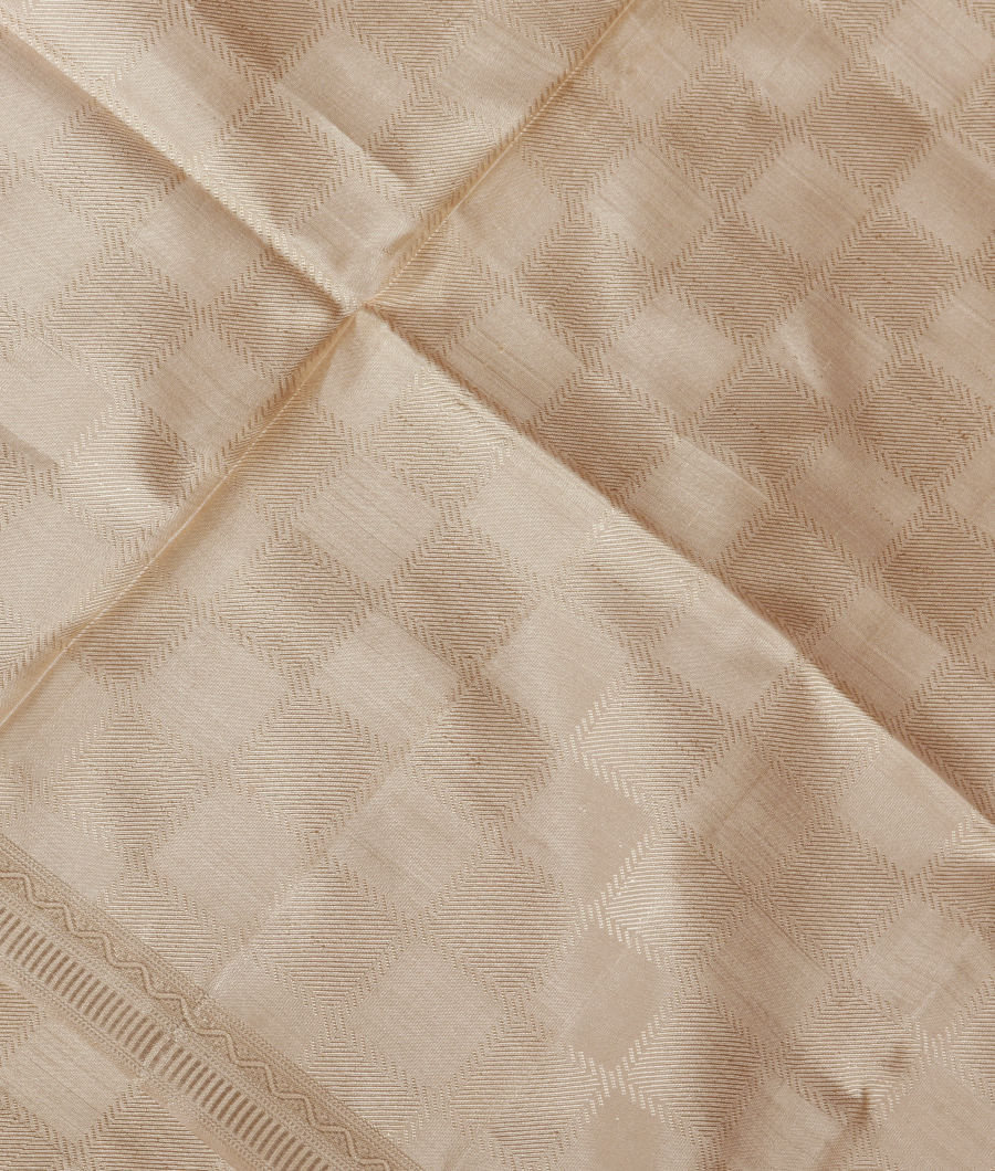 Beige Soft Silk Dupatta T275778-image