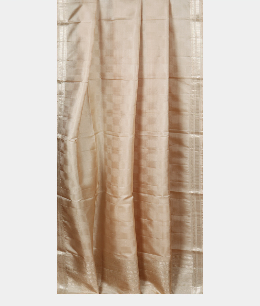 Beige Soft Silk Dupatta T2757782