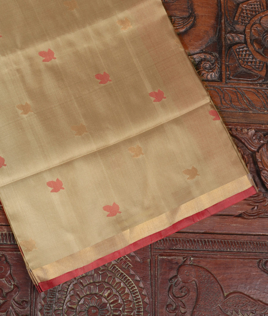 Beige Uppada Silk Saree T296310-image