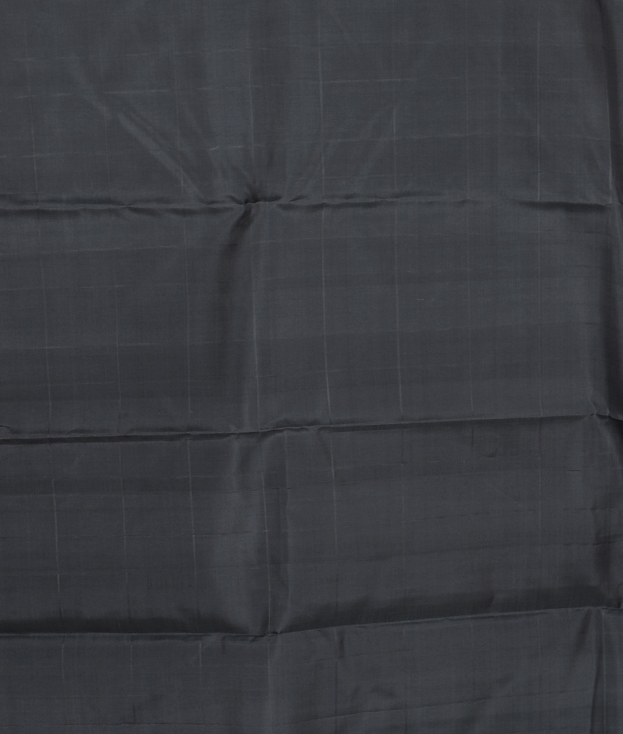 Green Handwoven Kanjivaram Silk Saree T2882823