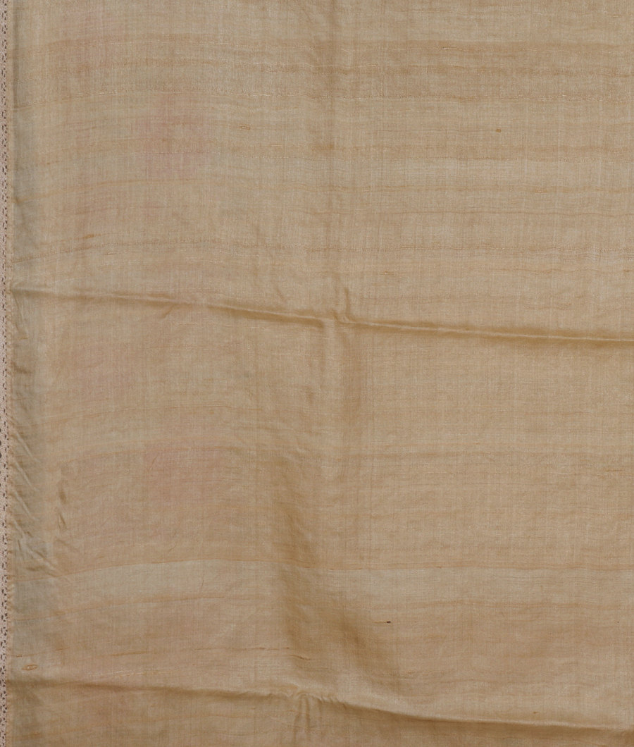 beige-tussar-embroidery-saree-t292937-t292937-c