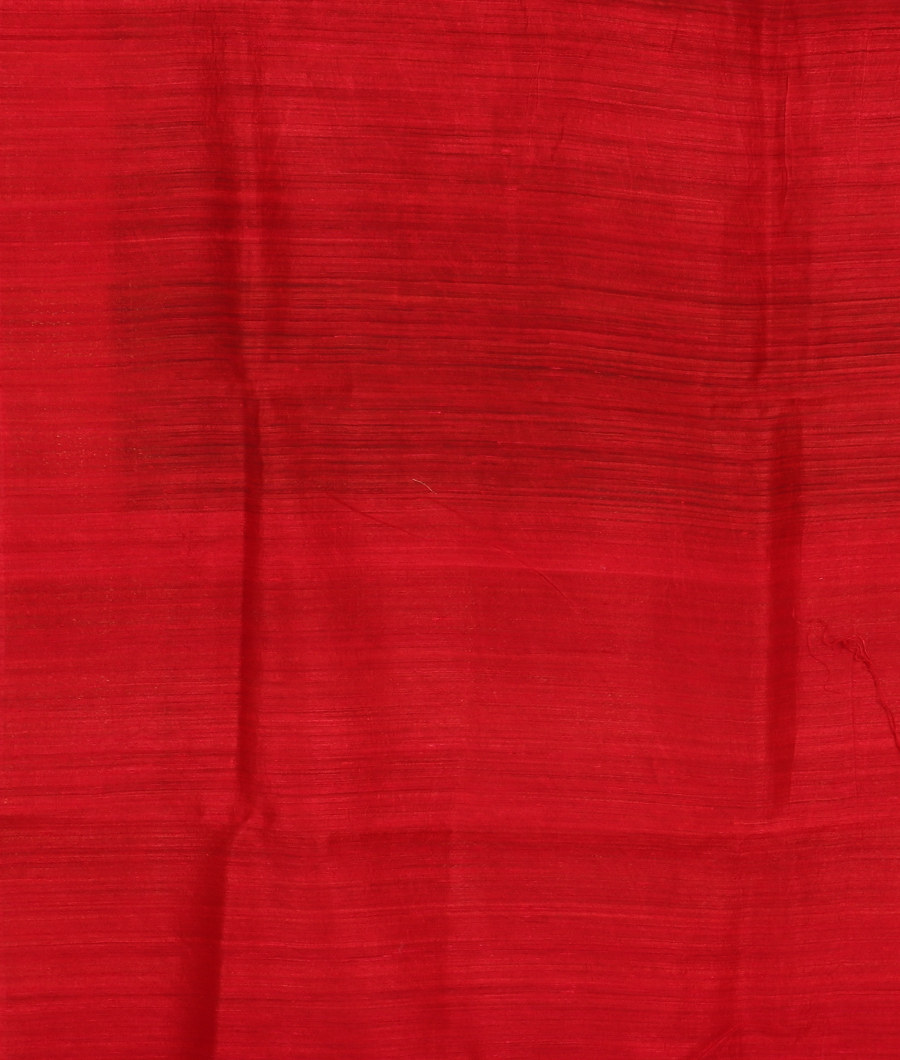 Green Banaras Tussar Saree T3428983