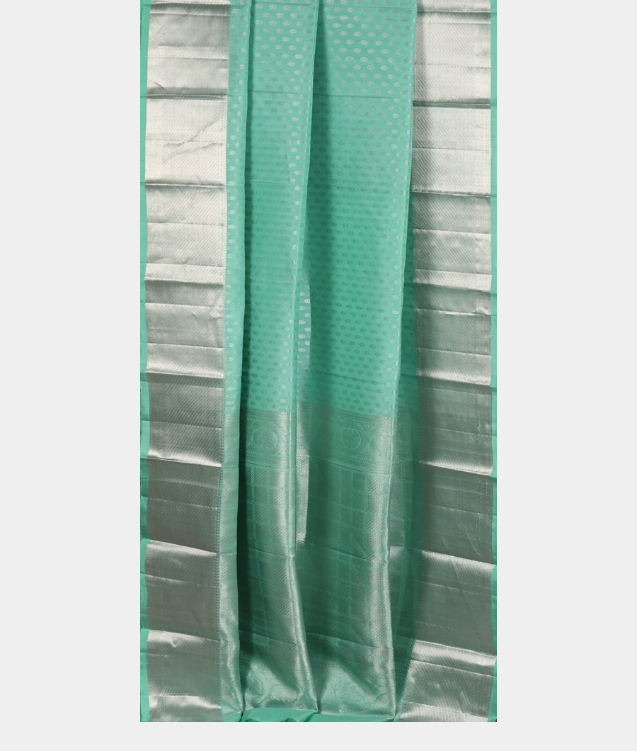 Light Green Handwoven Kanjivaram Silk Saree T3406522