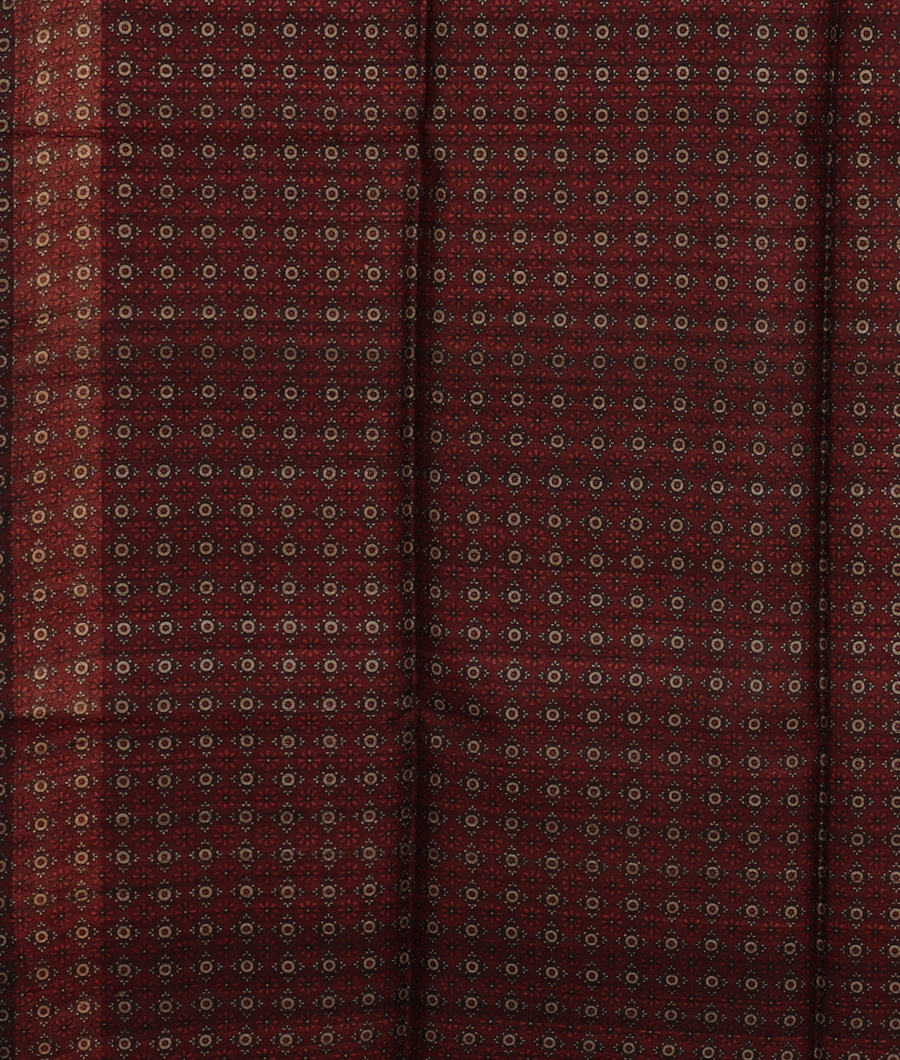 Rust Tussar Printed Saree T3193223