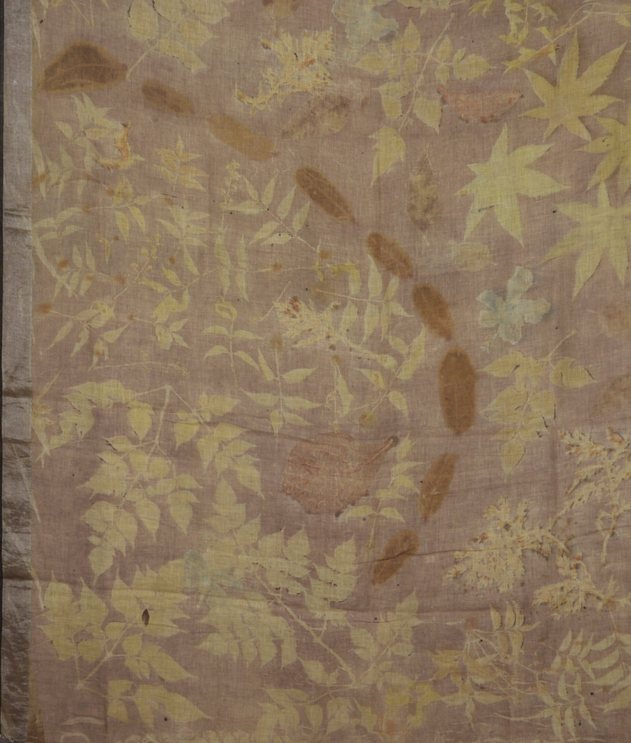 beige-linen-printed-saree-t320583-t320583-d