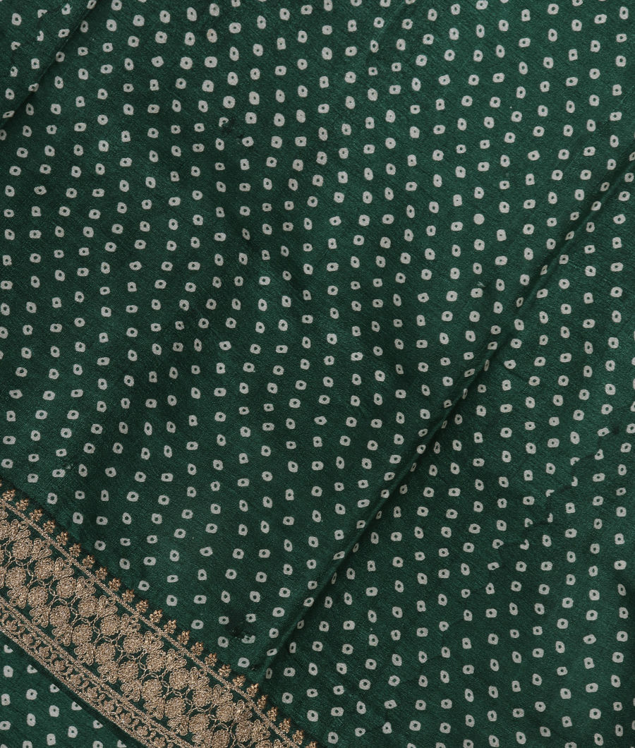 Green Tussar Embroidery Saree T251507-image