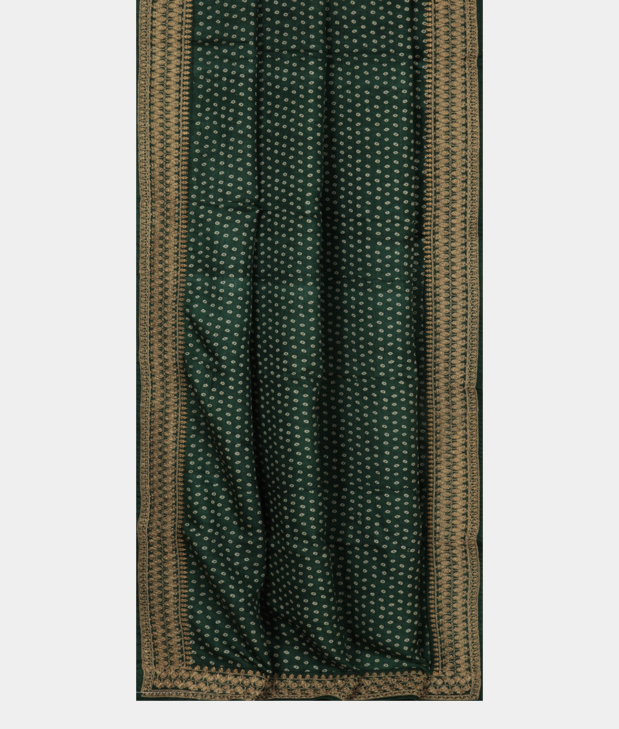 green-tussar-embroidery-saree-t251507-t251507-b