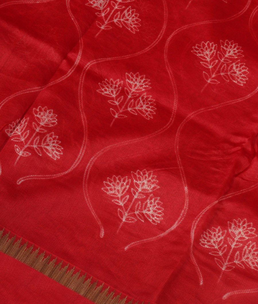 Red Printed Cotton Saree T336748-image