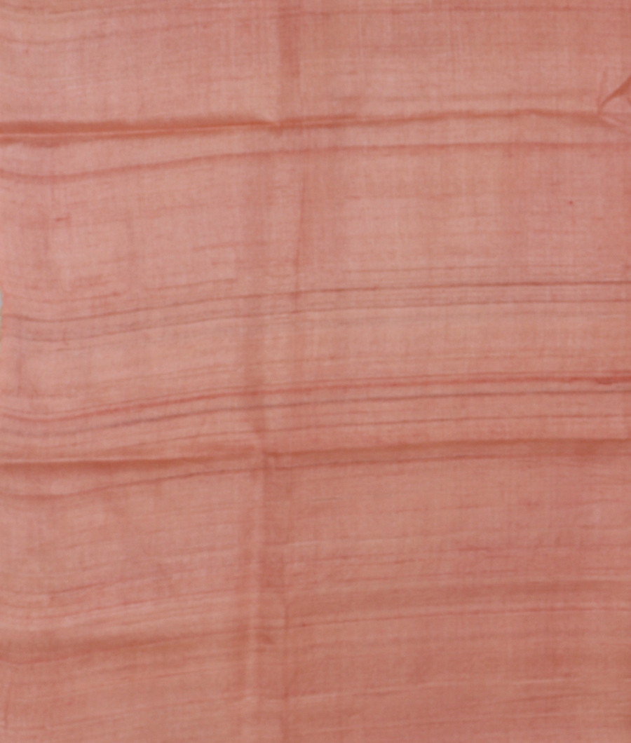 Multicolour Tussar Printed Saree T3143583