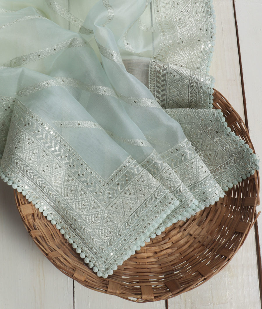 Light Blue Kora Organza Embroidery Saree T350672-image