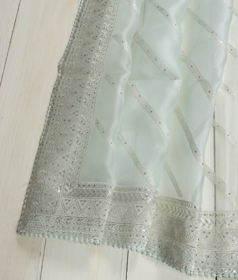 Light Blue Kora Organza Embroidery Saree T3506724