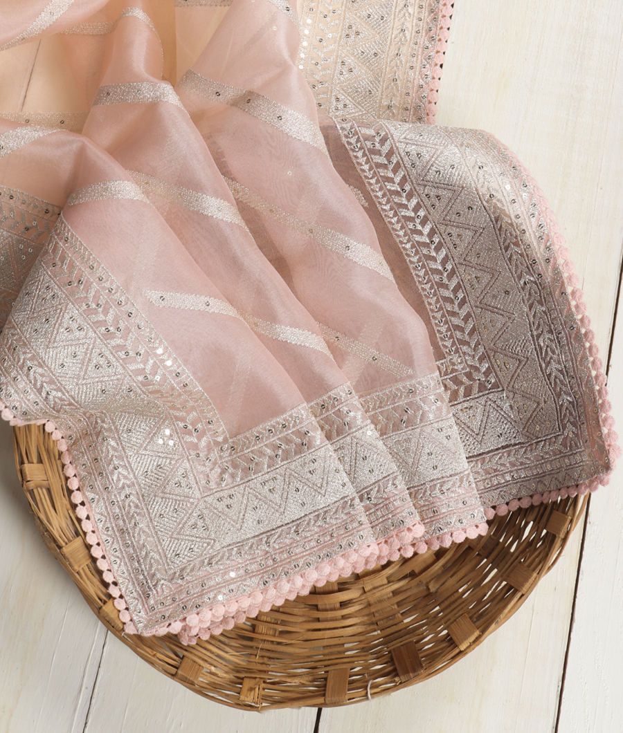 Light Peach Kora Organza Embroidery Saree T350670-image