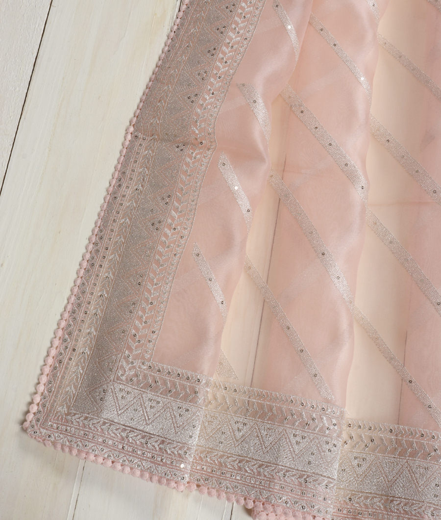 Light Peach Kora Organza Embroidery Saree T3506704