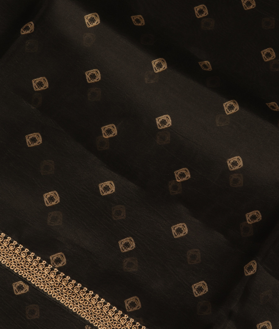 Black Kora Organza Embroidery Saree T227623-image
