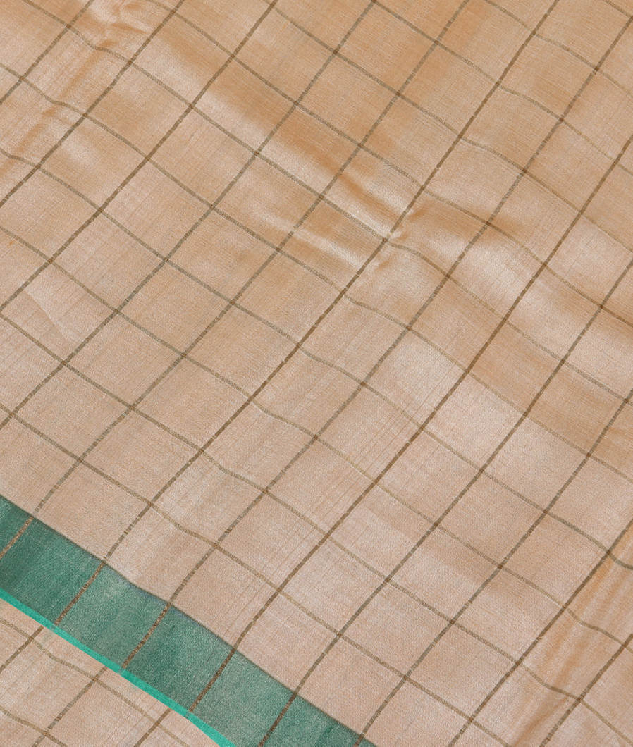 Beige Woven Tussar Saree T351051-image