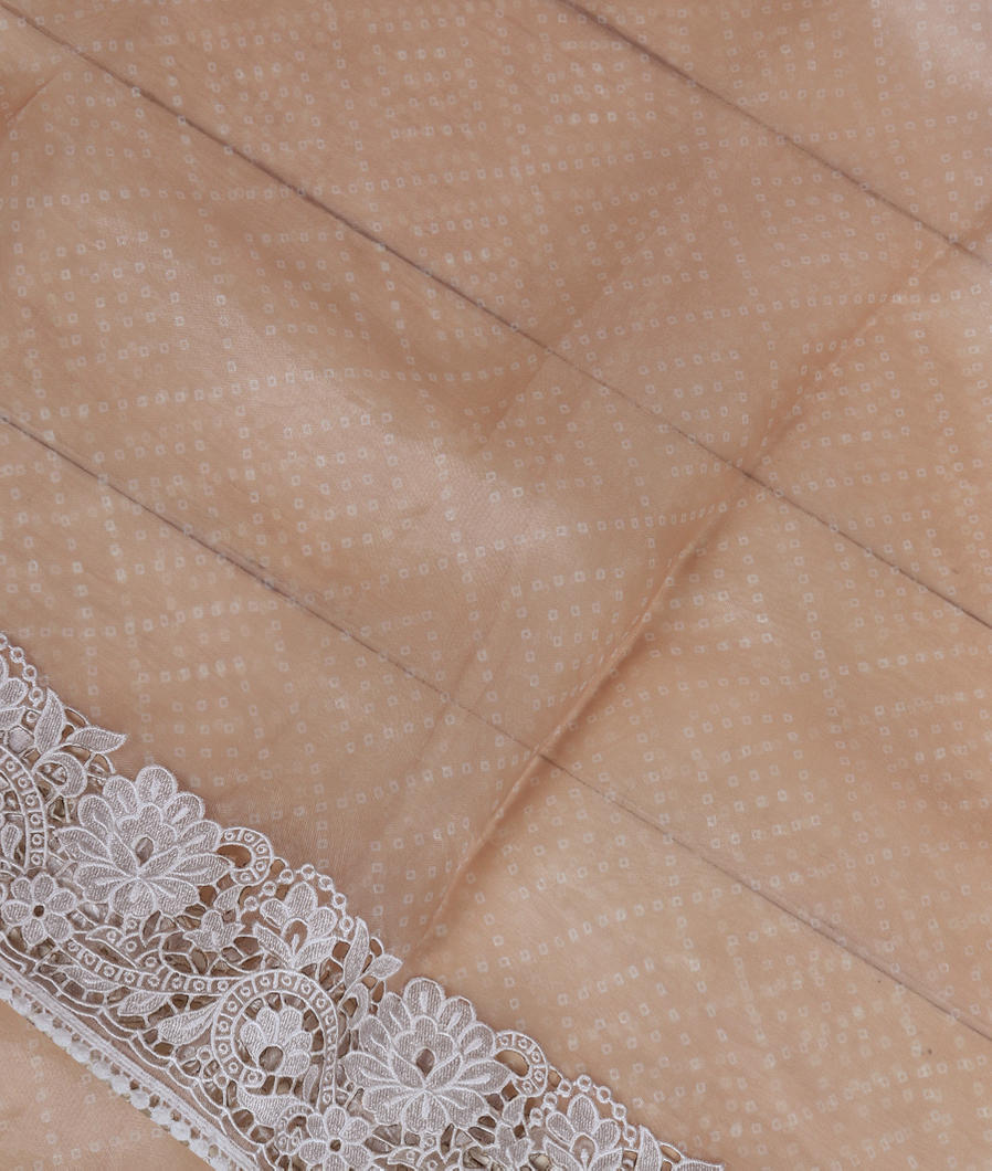 Beige Kora Organza Printed Saree T284491-image