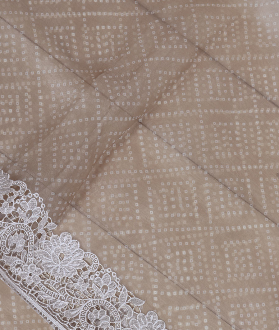 Grey Kora Organza Printed Saree T284489-image