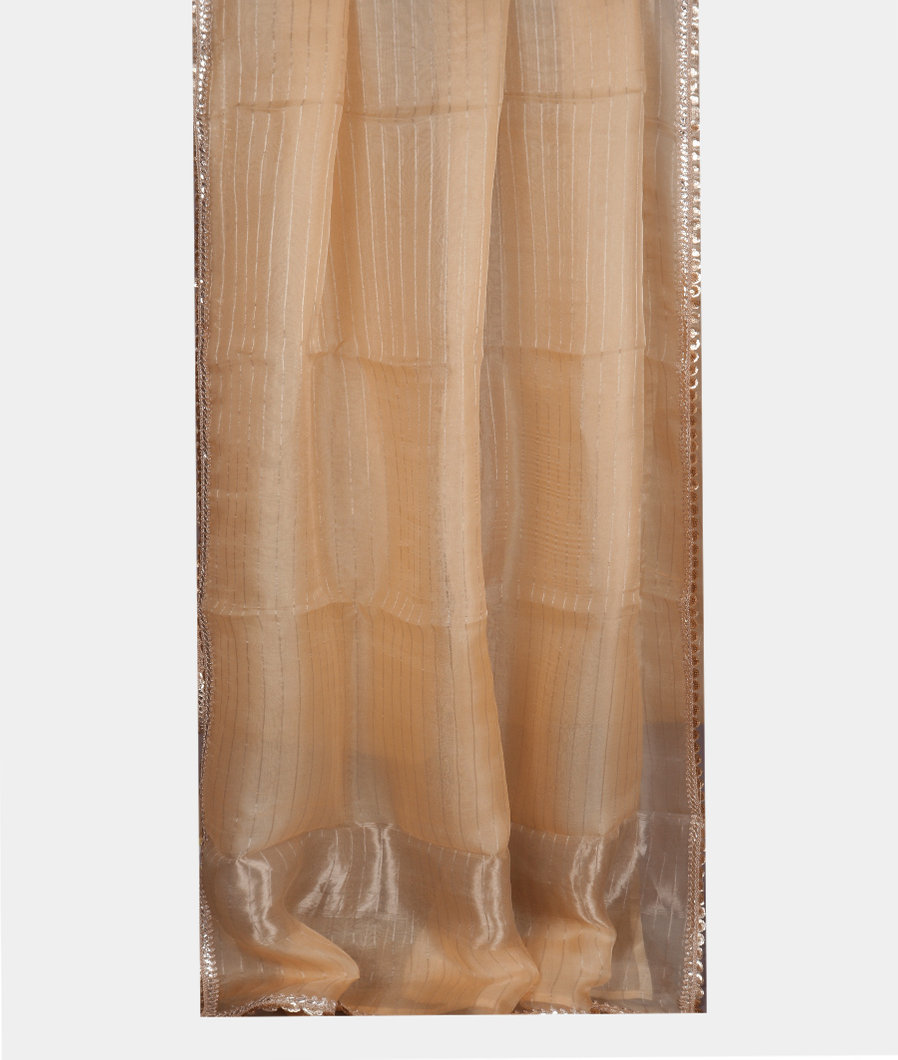 Yellow Kora Organza Embroidery Saree T3447202