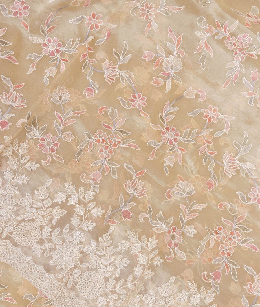 Cream Kora Organza Embroidery Saree T344112-image