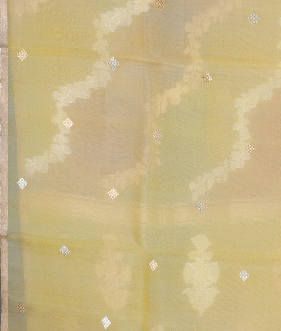 Multicolour Woven Organza Saree T3554533