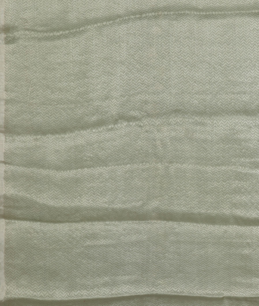 green-chiffon-embroidery-silk-sareet349258-t349258-c