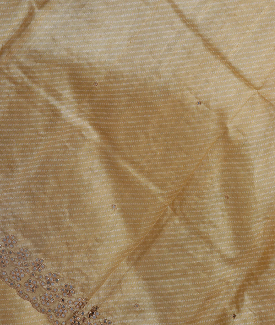beige Tussar Embroidery Saree T356687-image