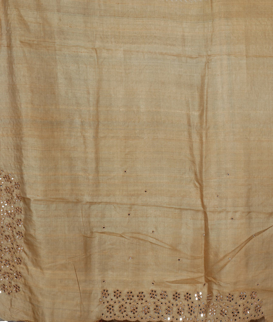 beige-tussar-embroidery-sareet356687-t356687-c