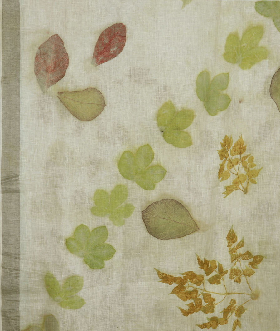 light-green-linen-printed-saree-t347501-t347501-d